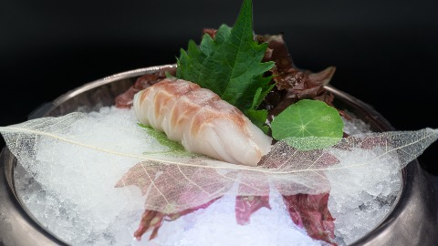 WHITE FISH