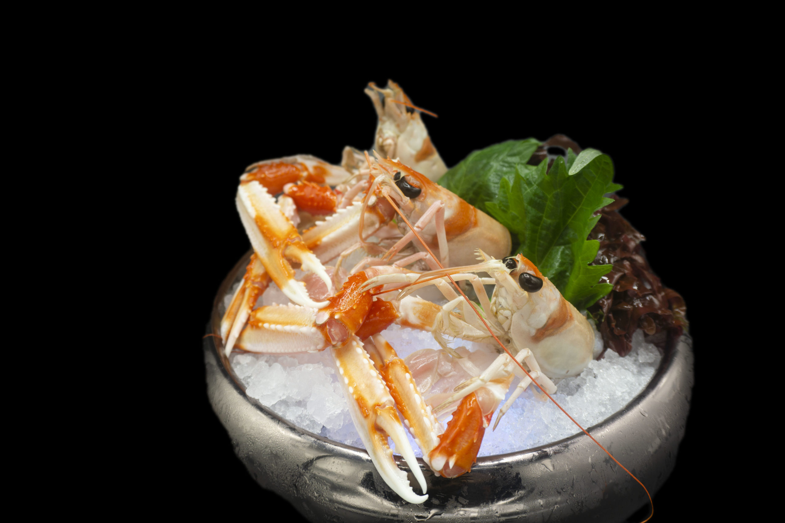 SASHIMI SCAMPO