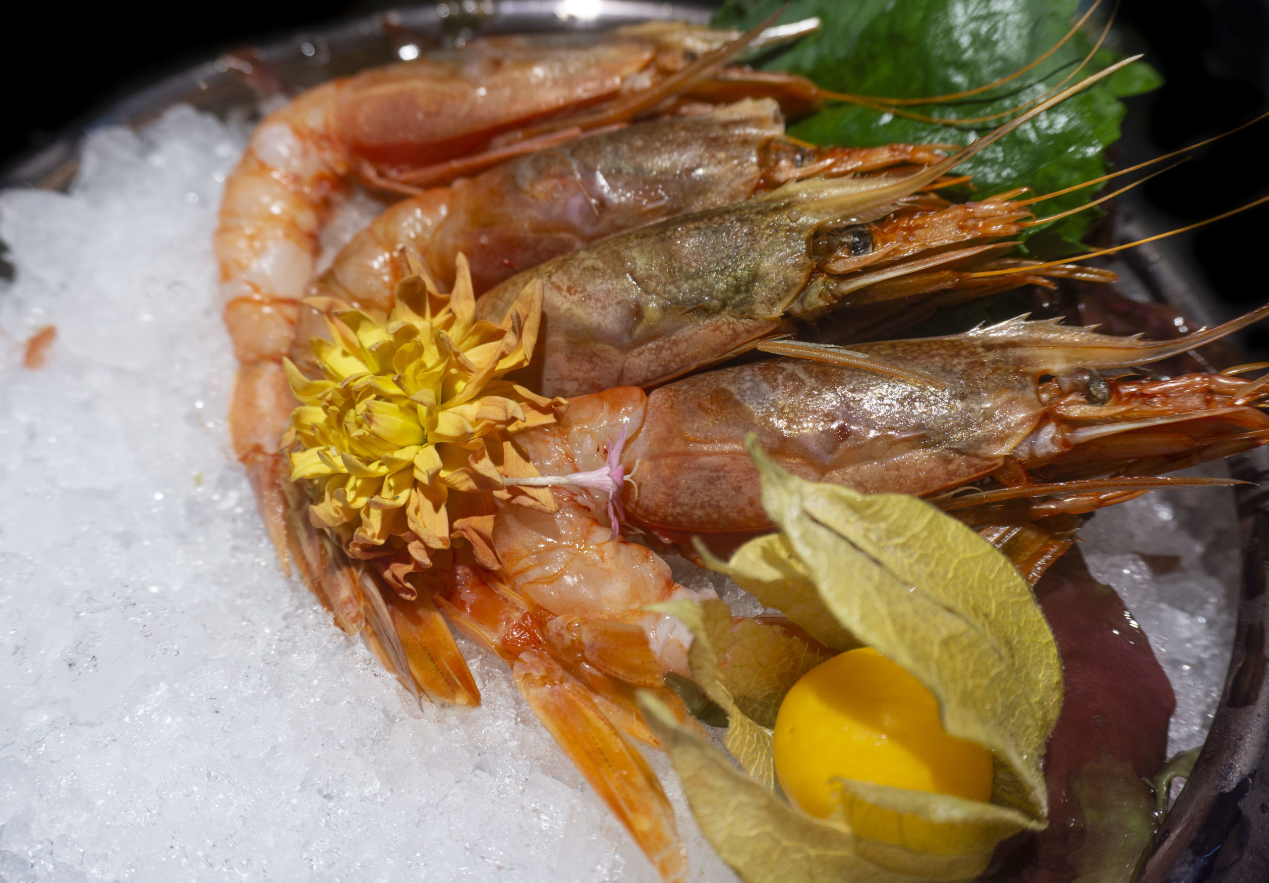 SASHIMI GAMBERO DI MAZARA
