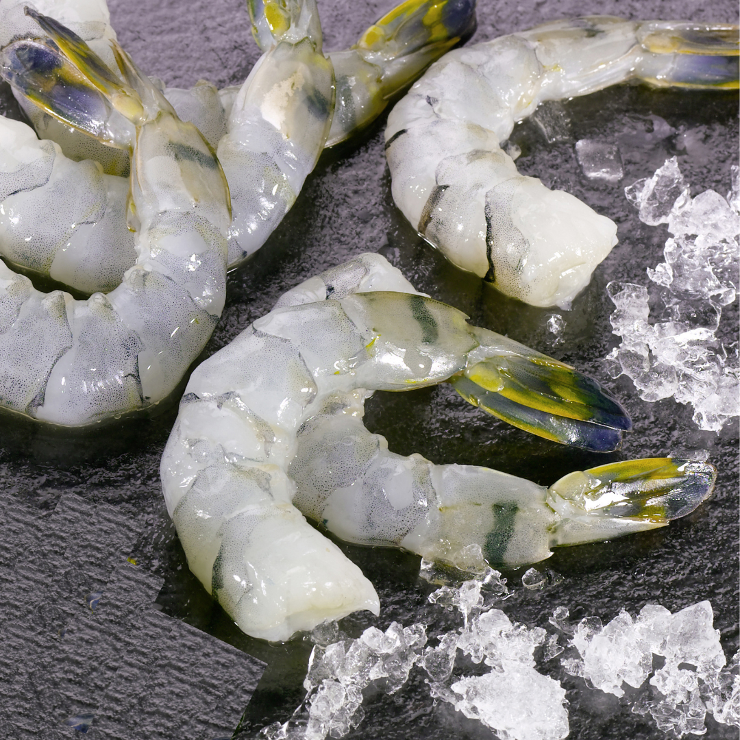 SASHIMI GAMBERO BLU